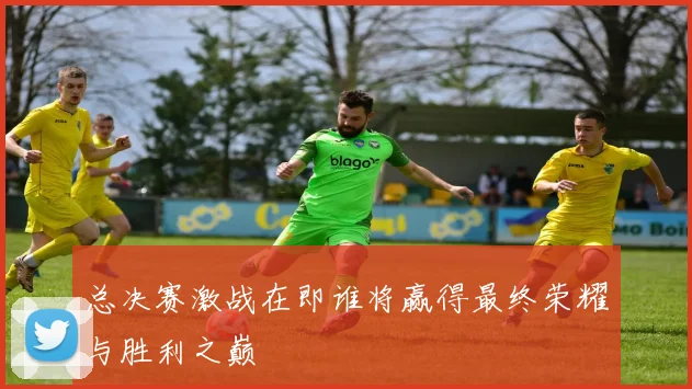 总决赛激战在即谁将赢得最终荣耀与胜利之巅